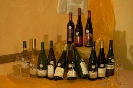Wein
